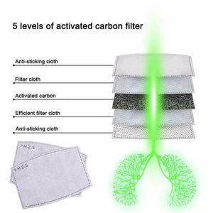 1 Protective Carbon Filter